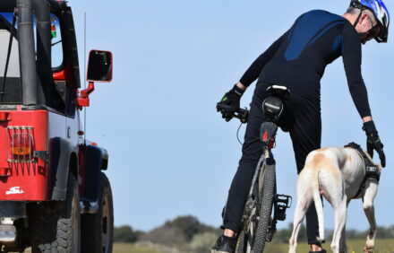 Tour rural en Bici