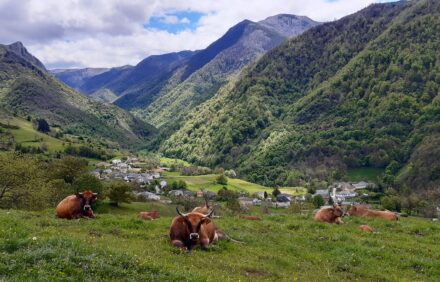 Asturias auténtica con cena incluida