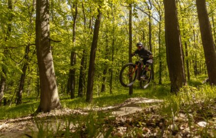 Recorre la puertas de La Sierra de Cazorla, en bici eléctrica