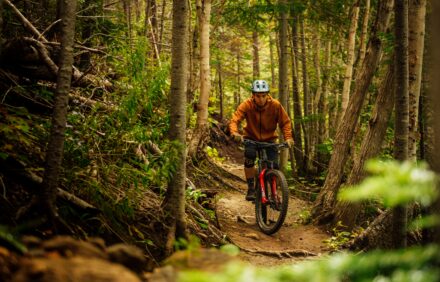 1 día de alquiler de bici para recorrer La Sierra de Cazorla