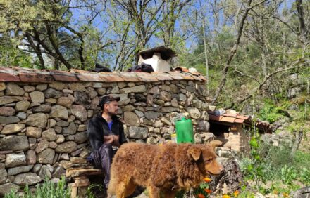 🌿 PRIMAVERA — El despertar de la finca en Gredos
