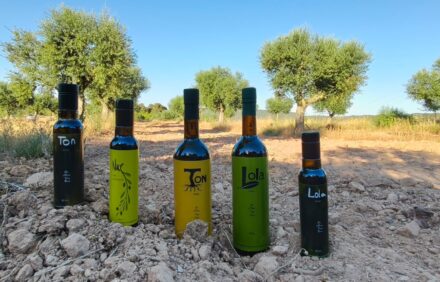 Oleoturismo entre Olivos: Cata de AOVE Ecológico y despierta entre olivos