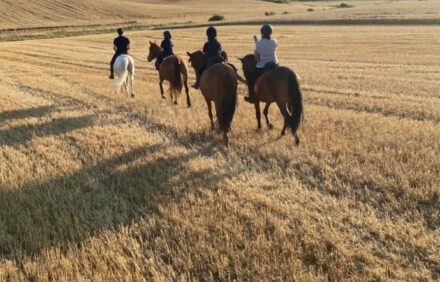 🐴 Paseo a Caballo entre Campos y Bosques de Navarra